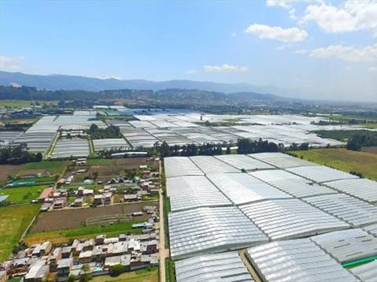 Procuraduría pide aclarar fallo sobre reserva Van Der Hammen que permite urbanización