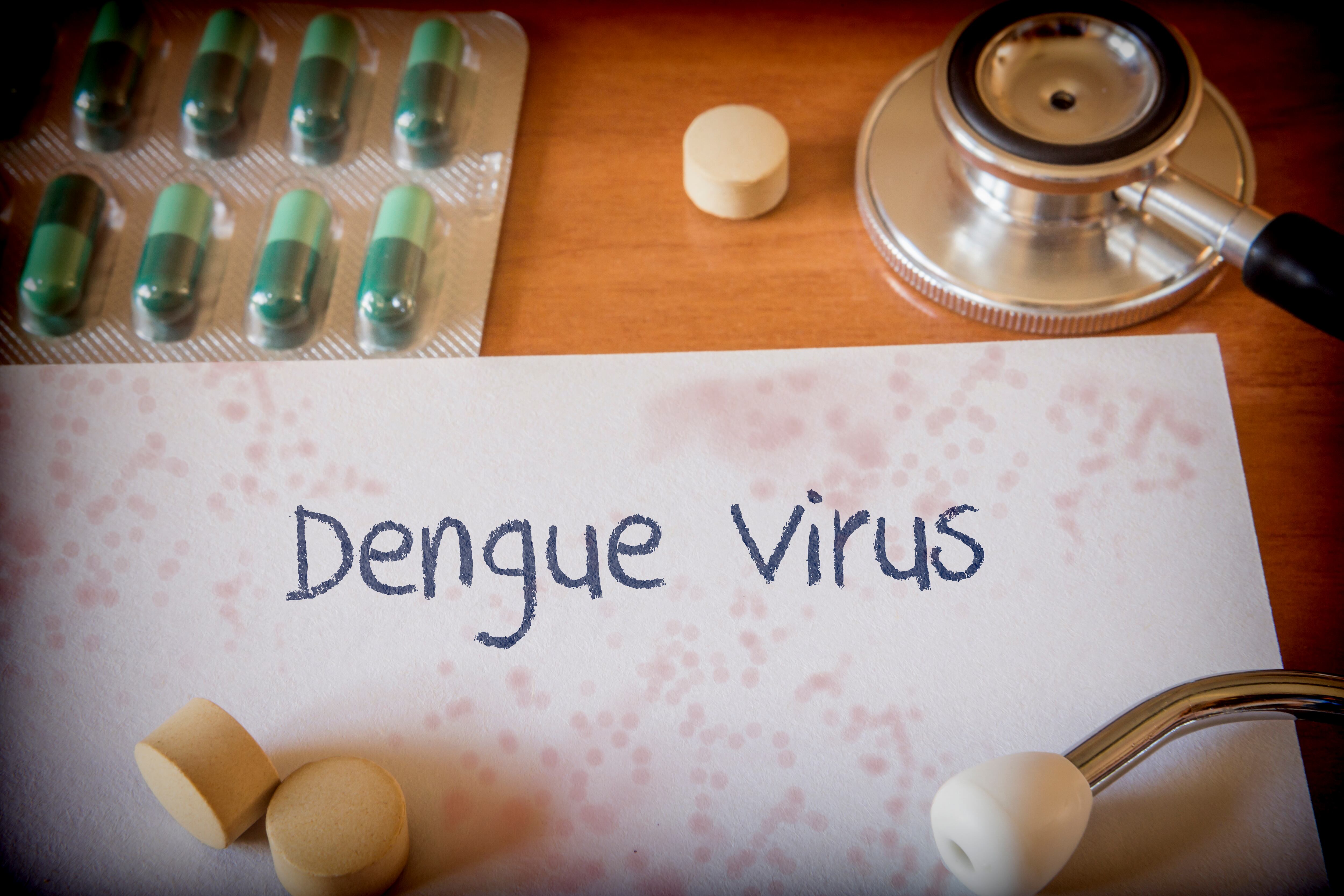 Dengue virus, getty images.