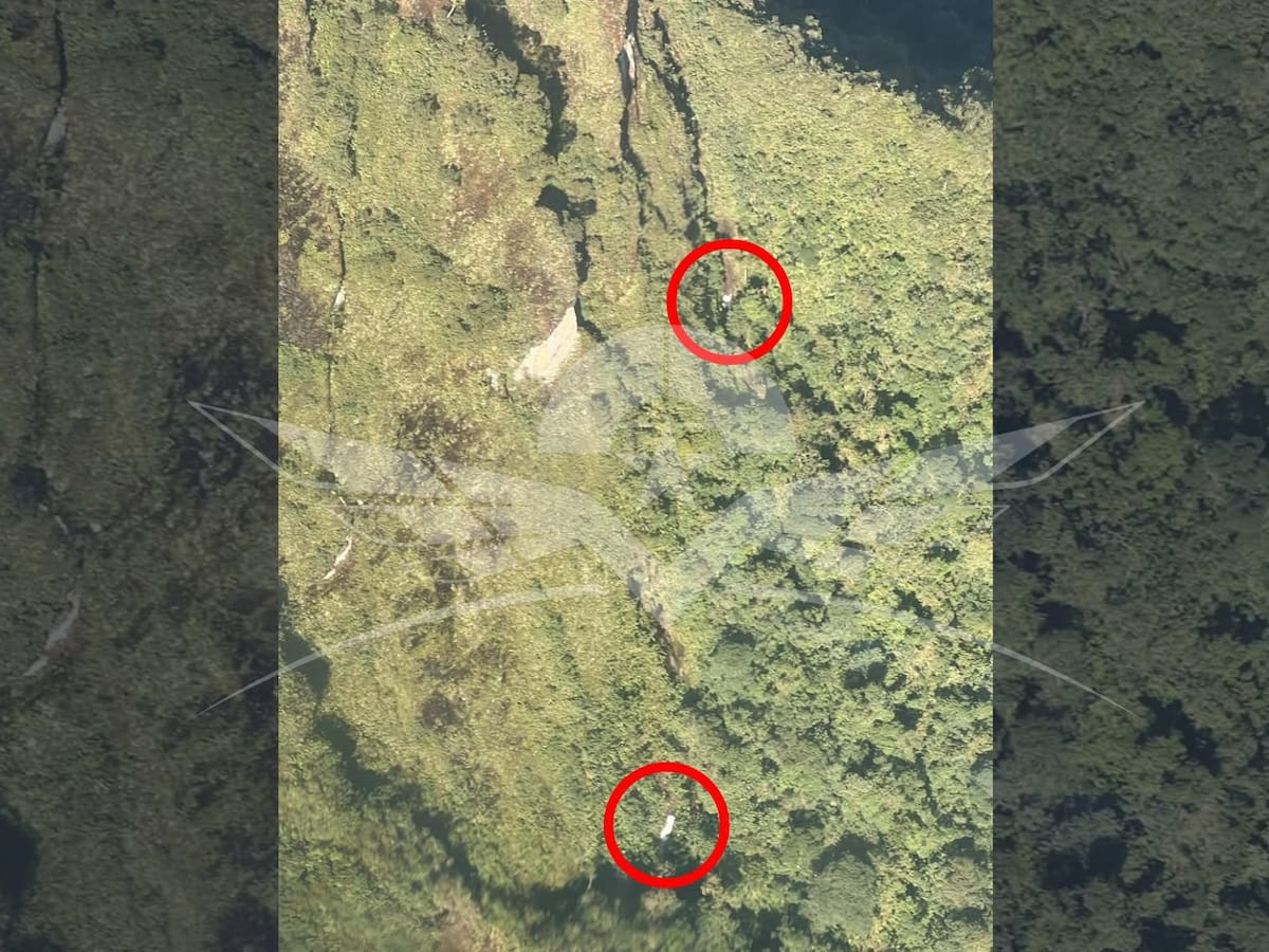 Fuerza Aérea localizó indicios de aeronave desaparecida cerca del Parque Natural Tatamá