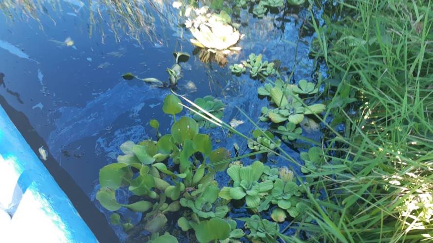 Según Ecopetrol se están tomando acciones.