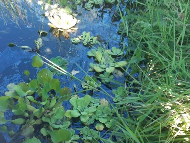 Según Ecopetrol se están tomando acciones.