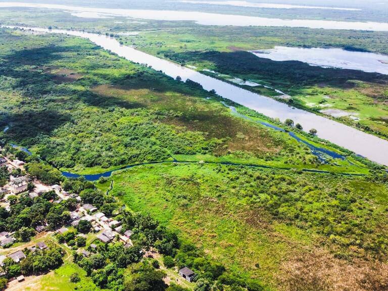 Cuestionan contrato de $1.800 millones entre Alcaldía y Universidad de Cartagena, para plantar 50 mil árboles. Foto: Cartagena.