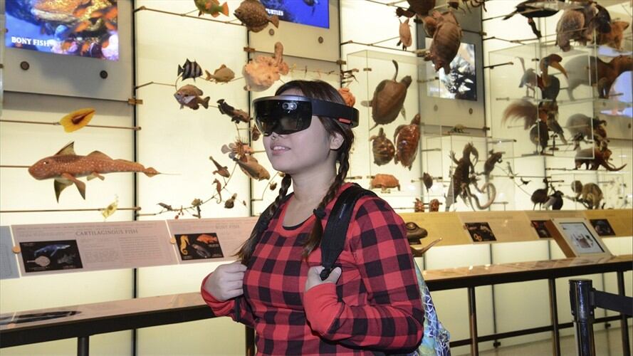 Provista por el Museo Estadounidense de Historia Natural muestra a un visitante en la muestra "AR Shark", en Nueva York, un prototipo del programa de realidad aumentada.. Foto: Associated Press - AP
