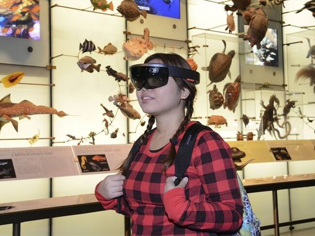 Provista por el Museo Estadounidense de Historia Natural muestra a un visitante en la muestra "AR Shark", en Nueva York, un prototipo del programa de realidad aumentada.. Foto: Associated Press - AP
