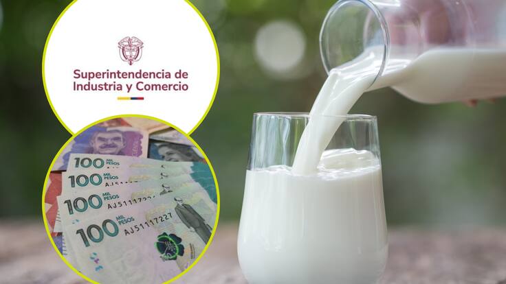 “Falso positivo de SIC a empresas”: Felipe Robledo por sanción a compañías de leche por lactosuero