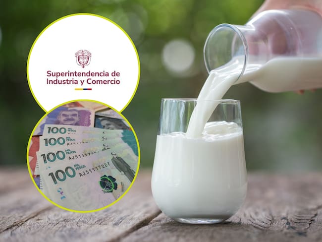 “Falso positivo de SIC a empresas”: Felipe Robledo por sanción a compañías de leche por lactosuero