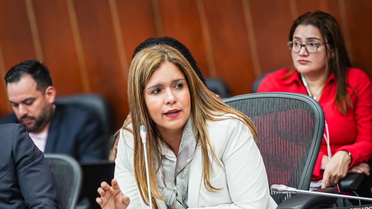 “Hay que hundir la ley de financiamiento del Gobierno”, pide Karina Espinosa