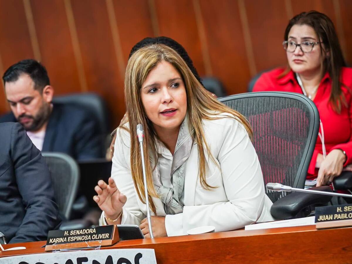 “Hay que hundir la ley de financiamiento del Gobierno”, pide Karina Espinosa