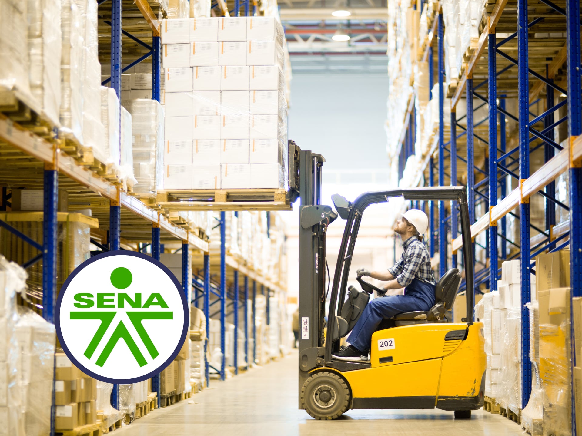 Persona operando un montacargas para subir unas cajas en un almacén. En el círculo, el logo del SENA (Fotos vía GettyImages y redes sociales)