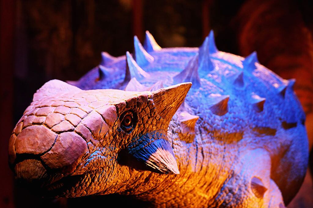 Dinosaurio acorazado. Crédito: Getty Images