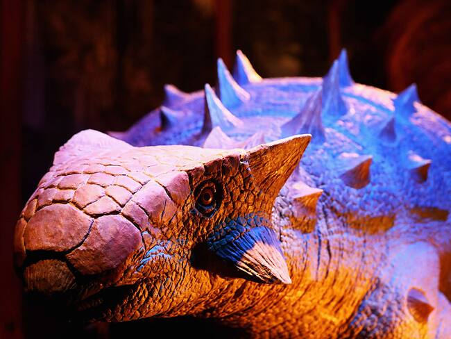 Descubren una nueva especie de dinosaurio acorazado en Chile