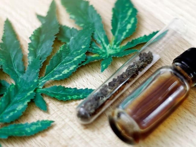 ¿Qué pasó con el decreto que permitía la exportación de flor seca de cannabis?