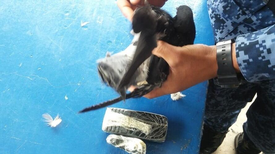 Los hechos se presentaron el 20 y 21 de marzo. . Foto: Inpec