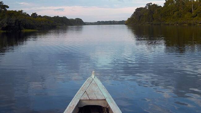 Río Amazonas. Foto: Colprensa