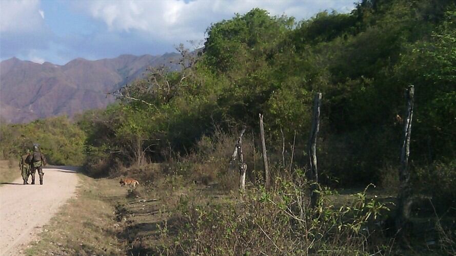 Según se puedo conocer, los explosivos serían de la estructura Dagoberto Ramos de las disidencias de las FARC.. Foto: Colprensa