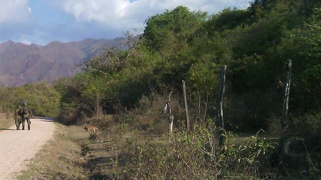 Según se puedo conocer, los explosivos serían de la estructura Dagoberto Ramos de las disidencias de las FARC.. Foto: Colprensa
