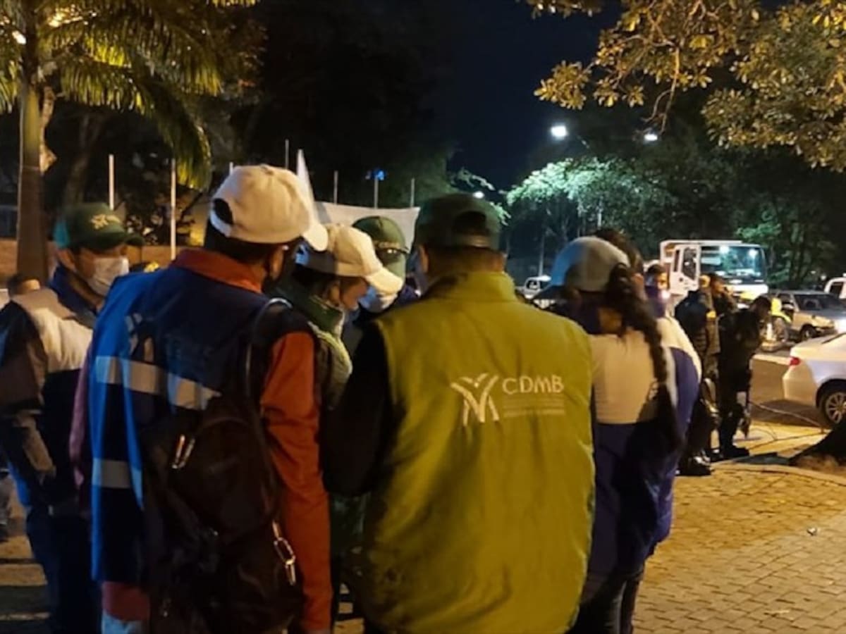 Recuperaron terreno invadido en los Cerros Orientales de Bucaramanga