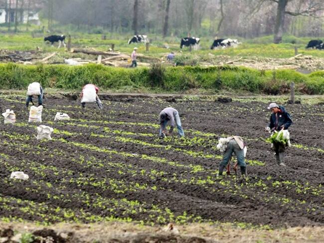 Imagen de referencia. Foto: COLPRENSA-RAUL PALACIOS