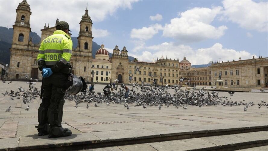 Maria Camila Ferreira y Rubén Acosta, denunciantes mencionaron que " iba a comprarle mercado a la madre, quien hace parte de la población vulnerable".. Foto: Getty Images