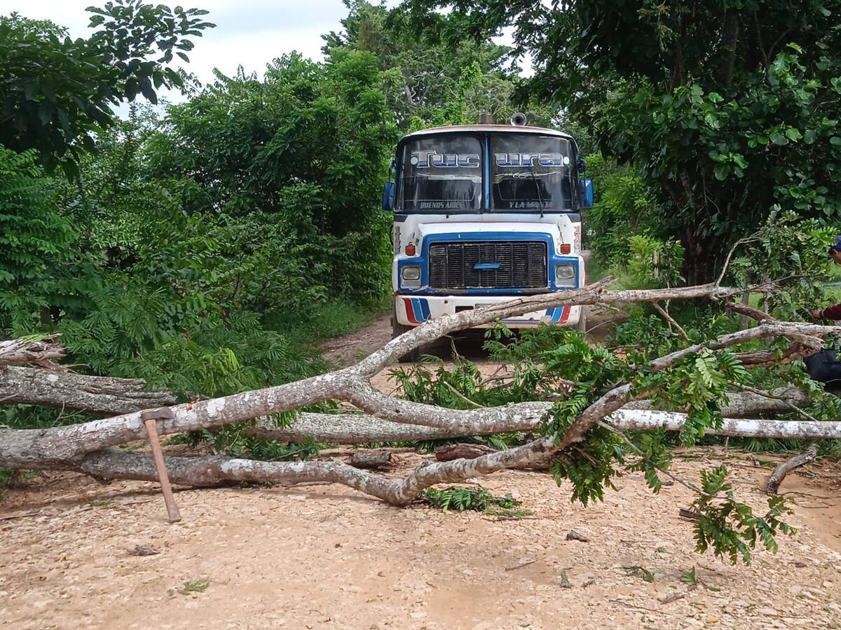 Colapso de un puente deja incomunicada a parte de la zona rural de Montería