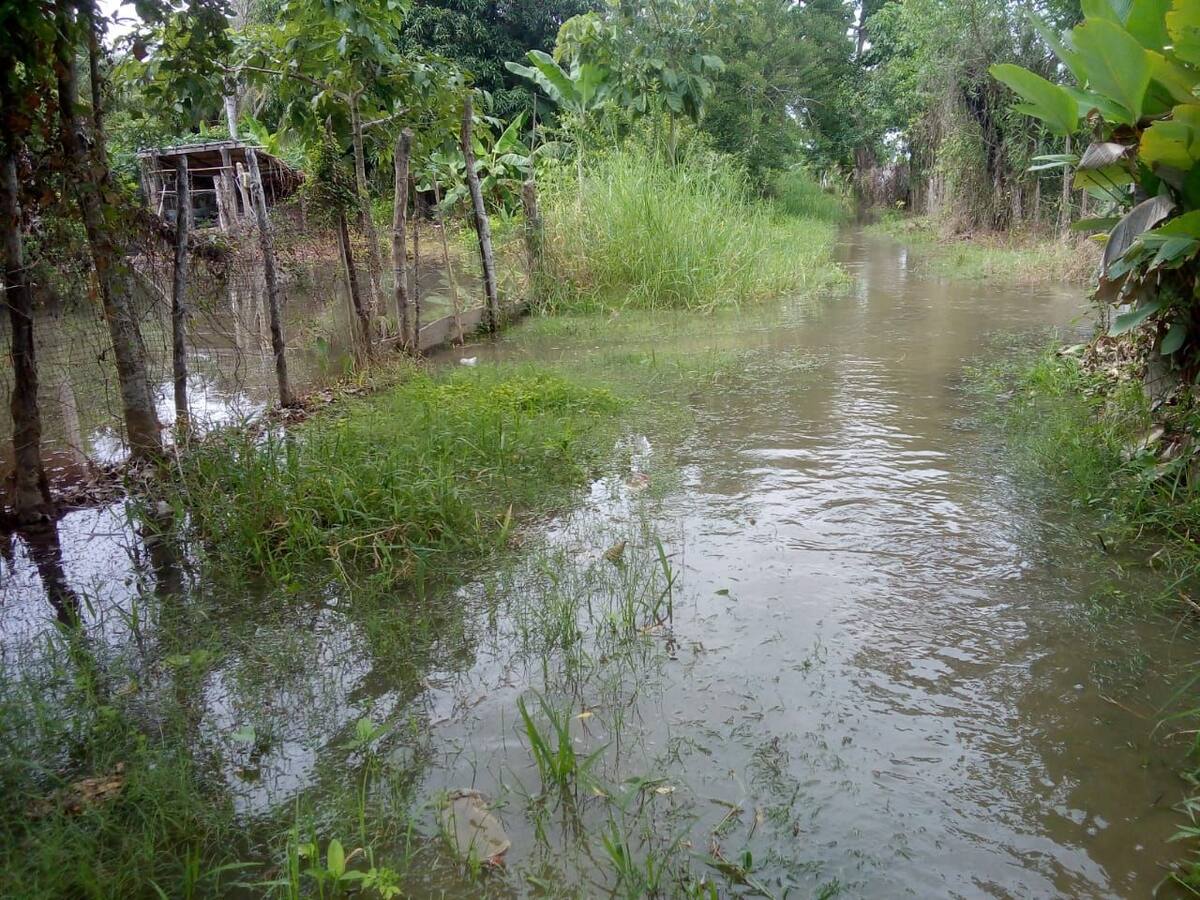 Cinco corregimientos están inundados en Pueblo Nuevo, Córdoba