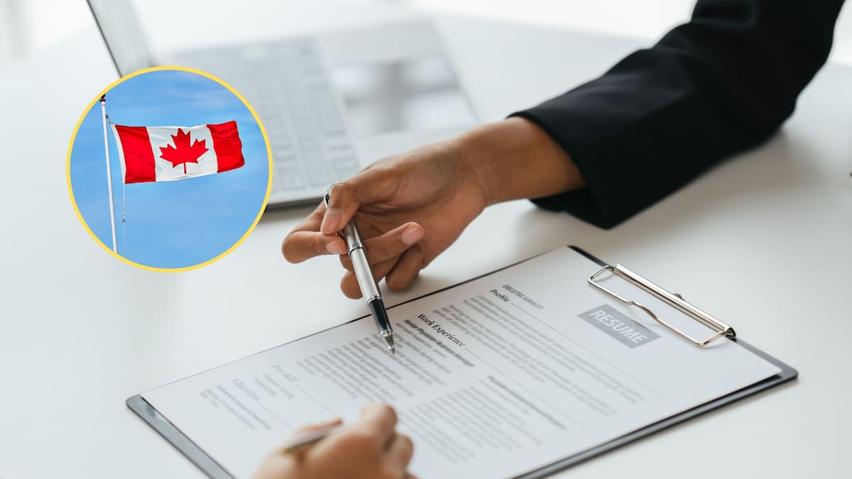 ¿Le gustaría irse a vivir a Canadá? Estos son los trabajos más demandados