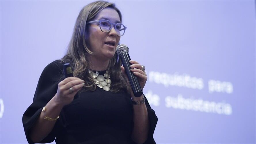 La ministra de Minas y Energía, María Fernanda Suárez. Foto: Colprensa