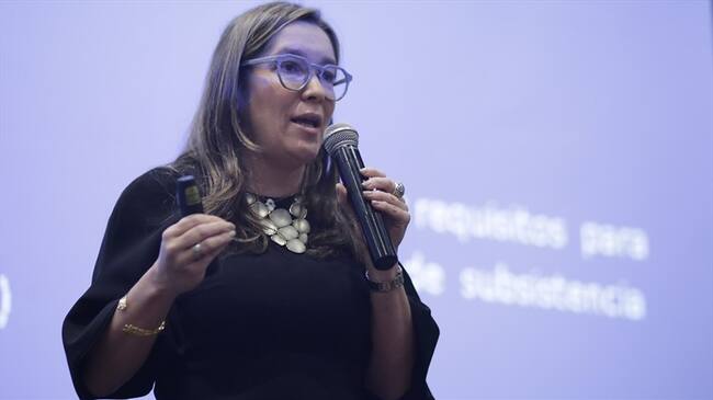 La ministra de Minas y Energía, María Fernanda Suárez. Foto: Colprensa