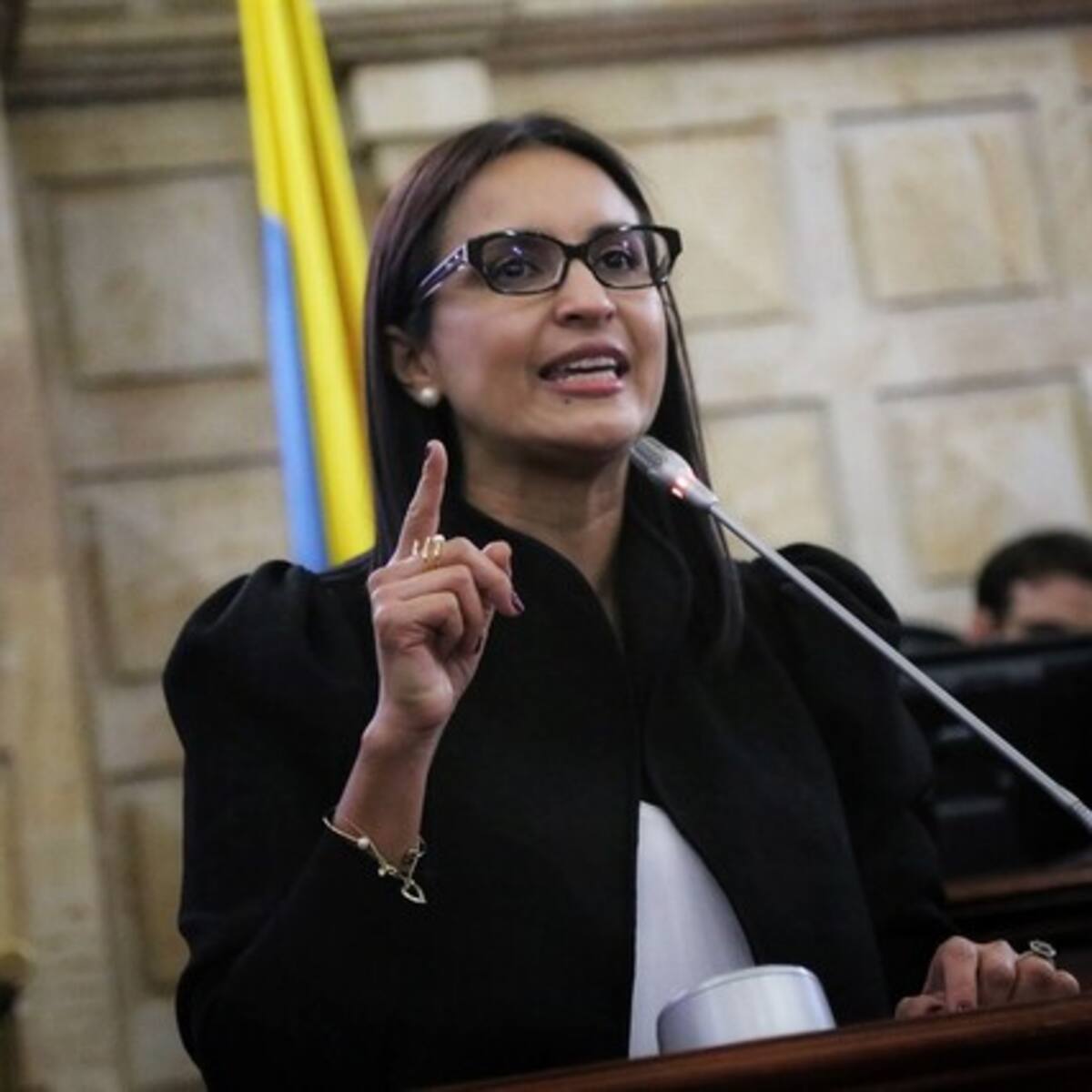 María Fernanda Rangel renunció a su candidatura para ser contralora general