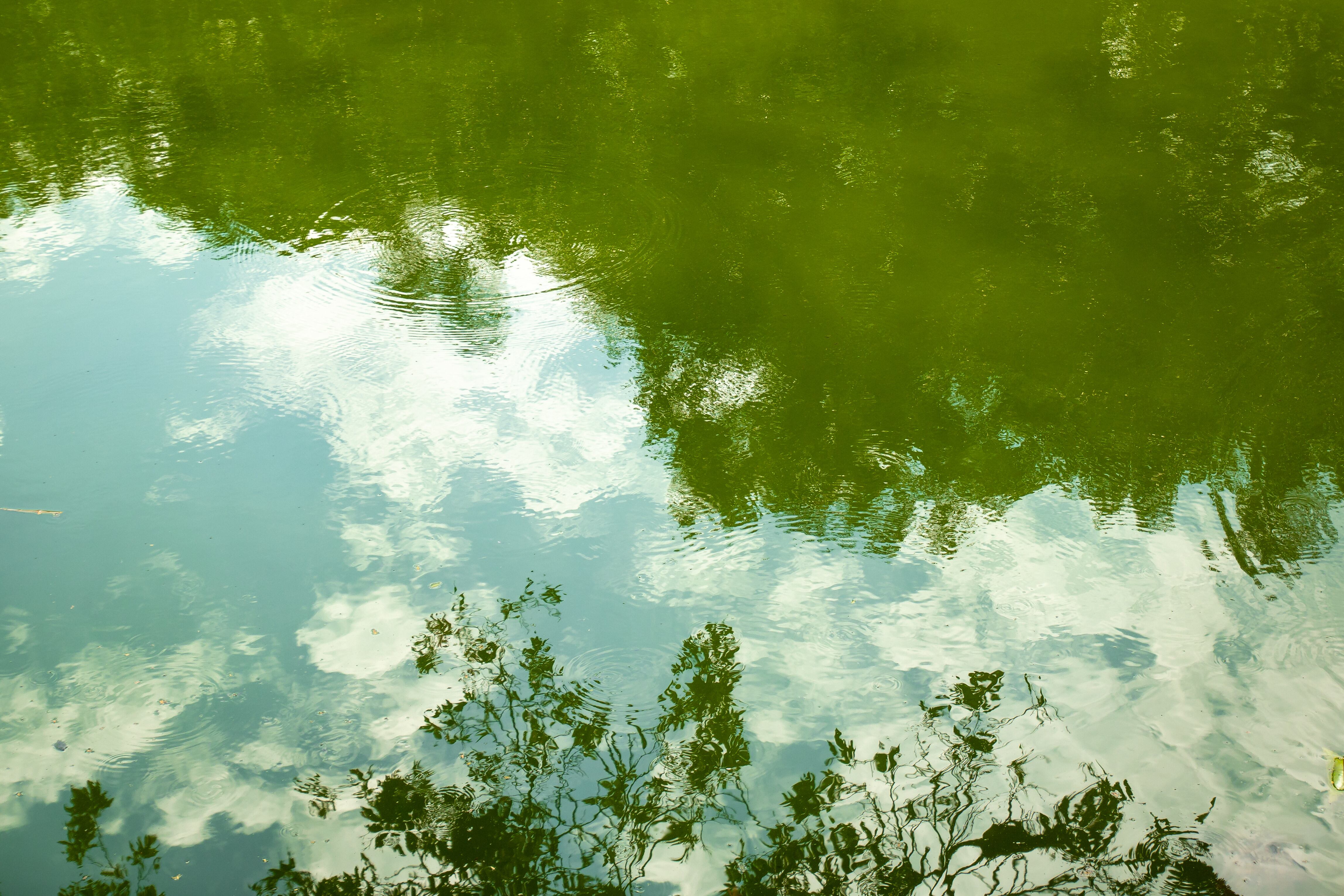 Reflection of the Clean and Calm Lagoon Water