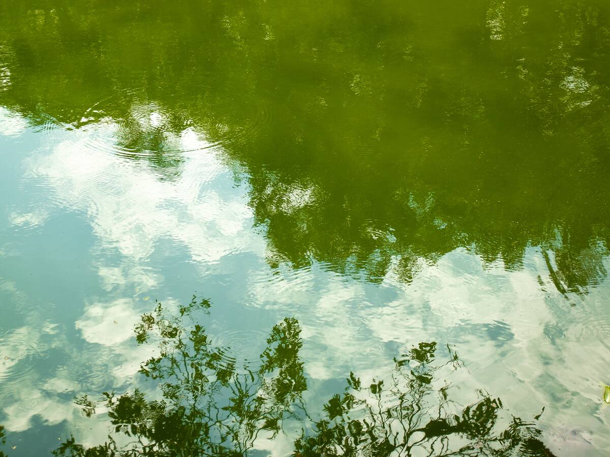 Menor de ocho años desapareció tras desbordamiento de una quebrada en San Pablo, Nariño