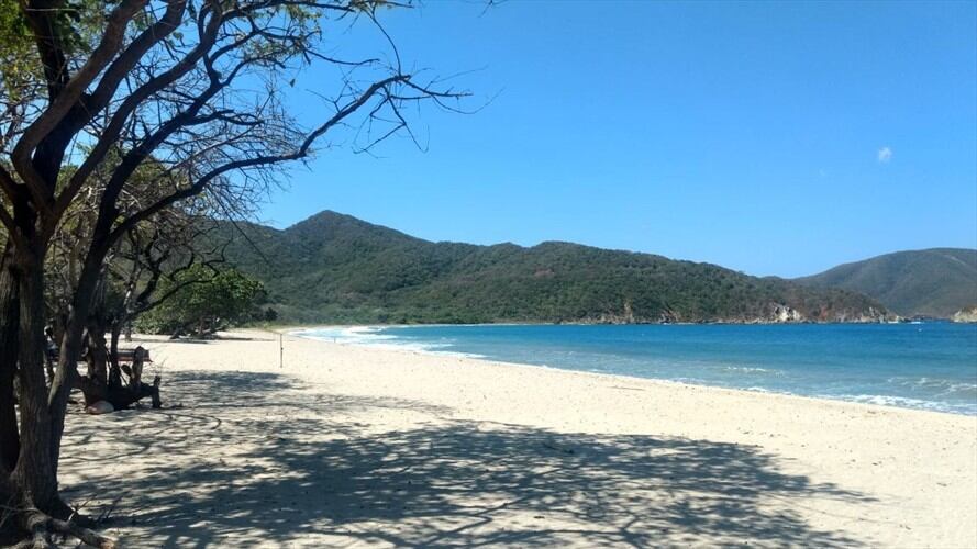 Imagen referencial del Parque Tayrona. Foto: Colprensa