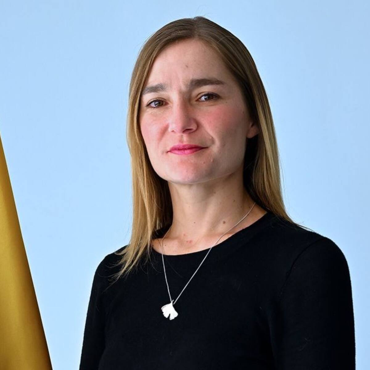 “Ceses al fuego pudieron dar ventaja a grupos criminales”: Daniela Gómez, ex viceministra de Defensa