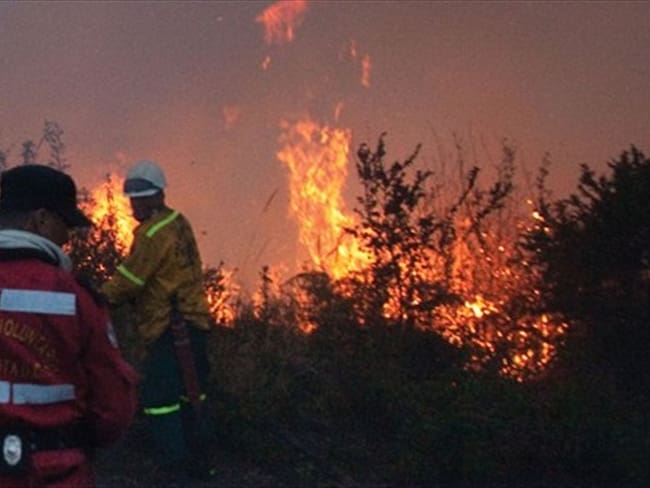 Incendios forestales y alertasde incendios en Magdalena. Foto: Colprensa