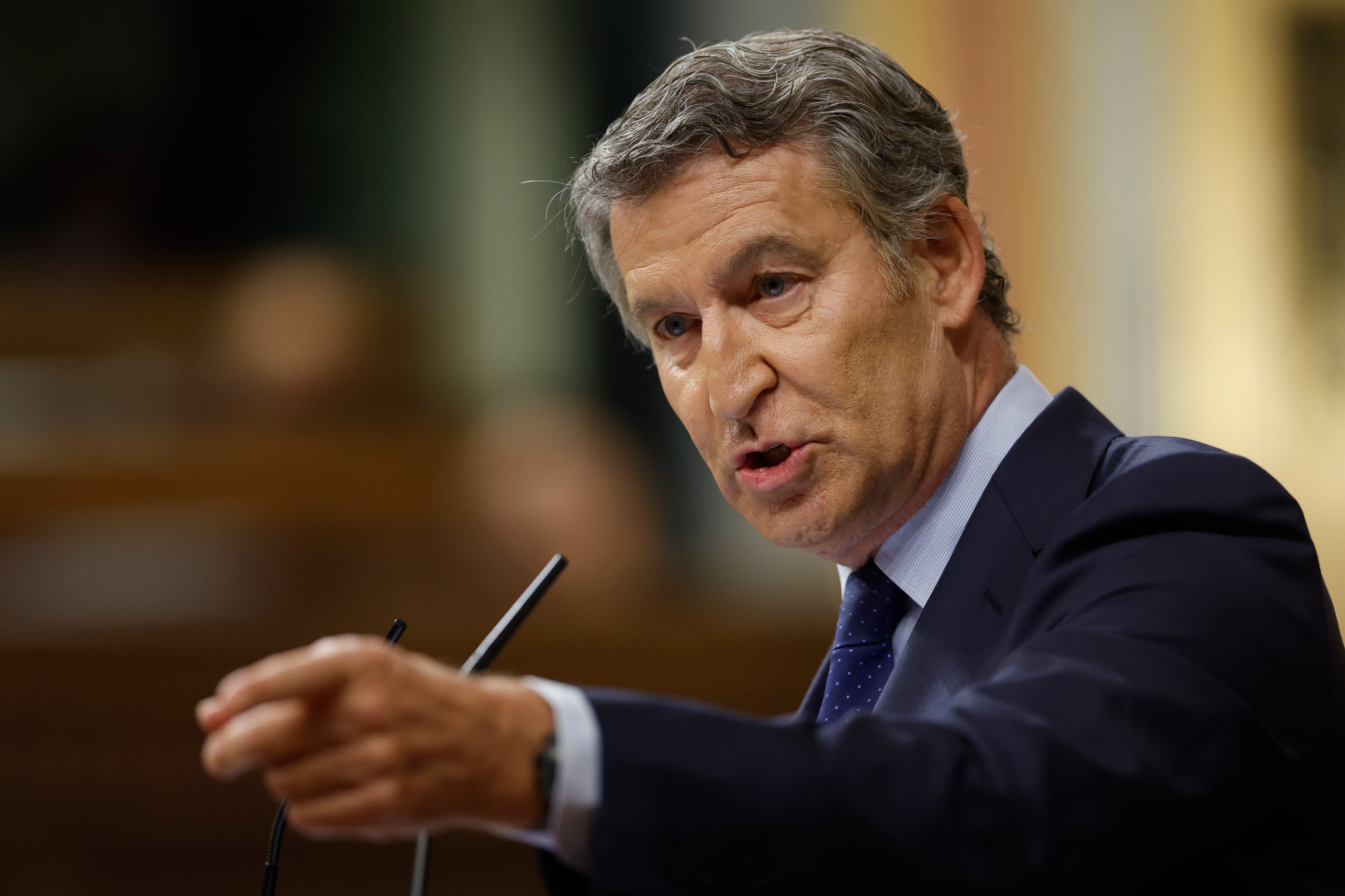 Alberto Núñez Feijóo. Foto: EFE/Mariscal.