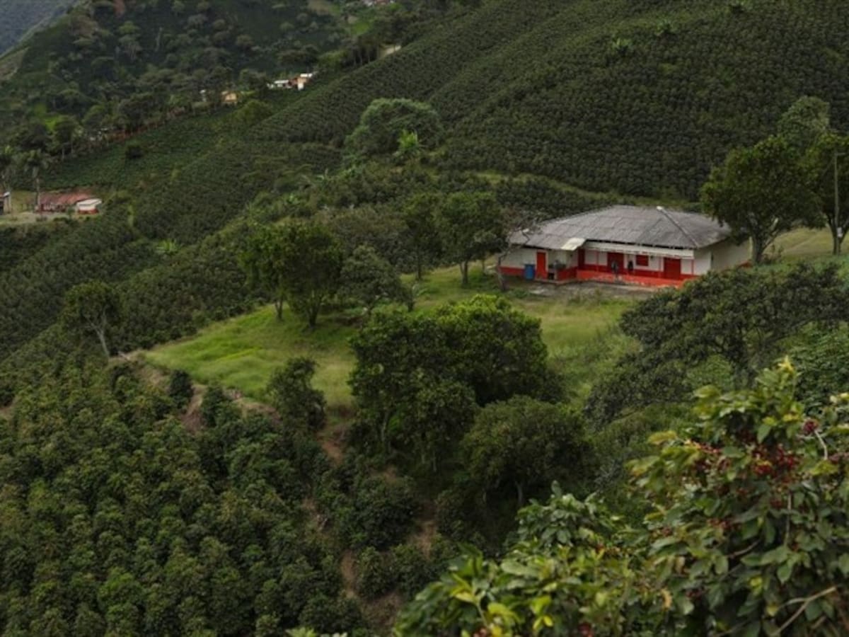 Alianza público-privada le apuesta a proteger y recuperar ecosistemas en Antioquia
