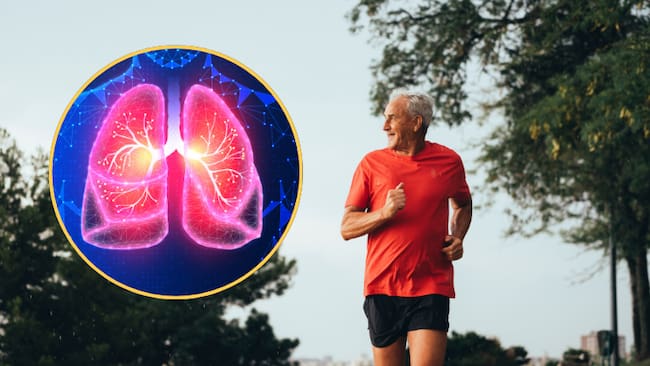 Hombre haciendo ejercicio y una imágen de referencia de unos pulmones humanos (Fotos vía Getty Images)
