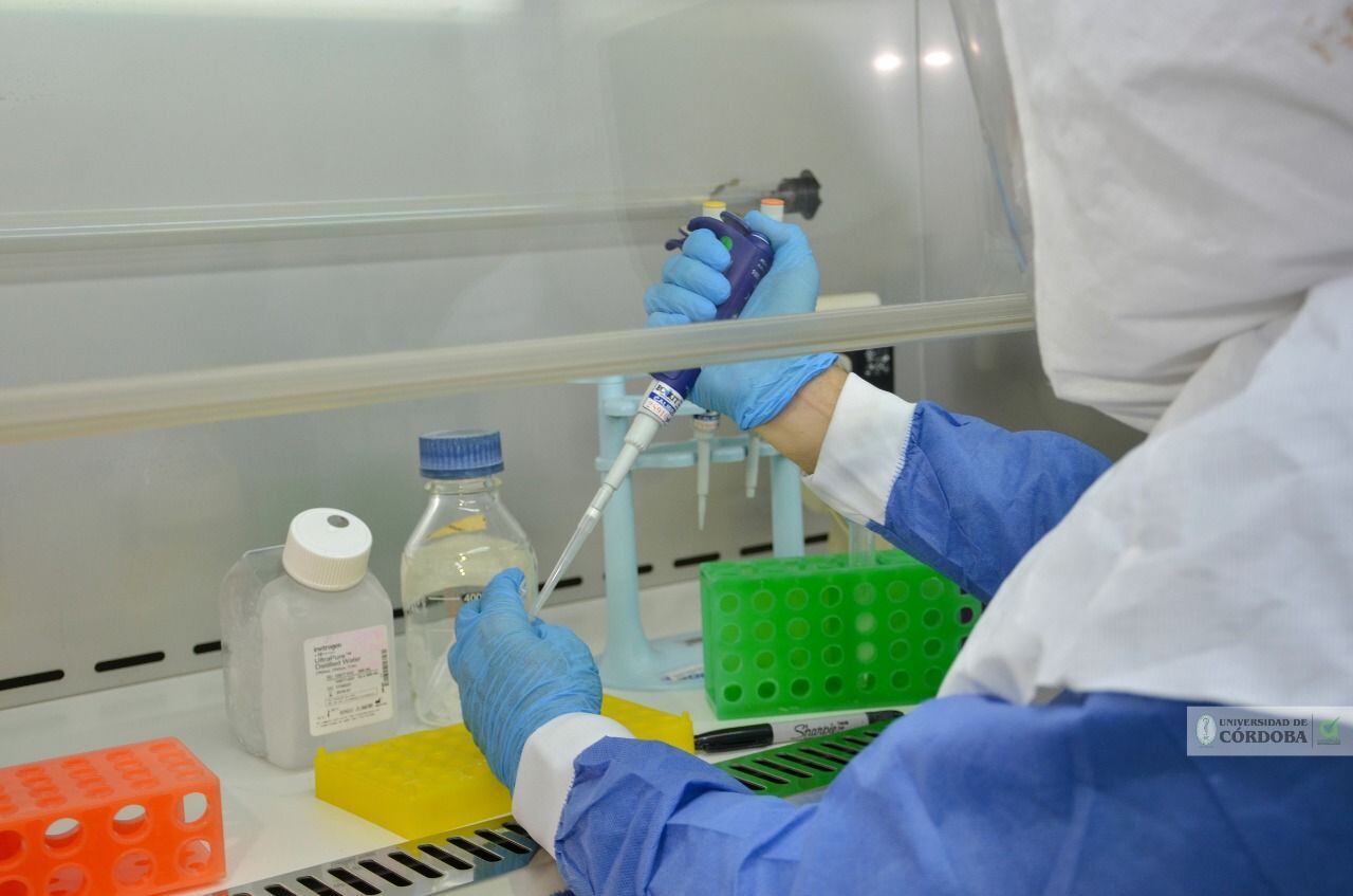 Córdoba tiene más de 700 casos activos de coronavirus. Foto: Universidad de Córdoba - referencia. 