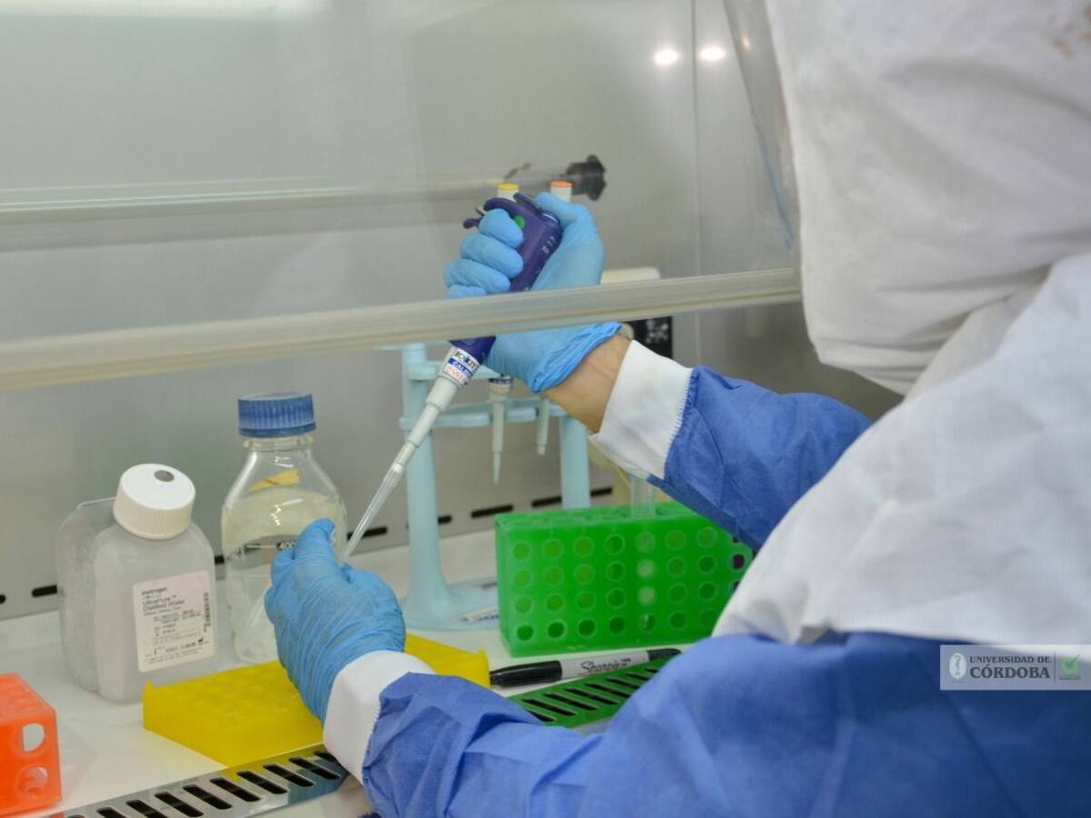 Córdoba tiene más de 700 casos activos de coronavirus