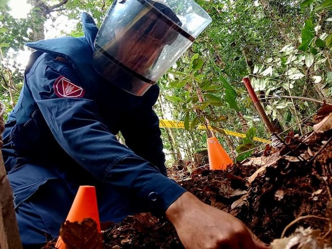36 ya están libres de sospecha de contaminación. Foto Batallón Desminado No 5.