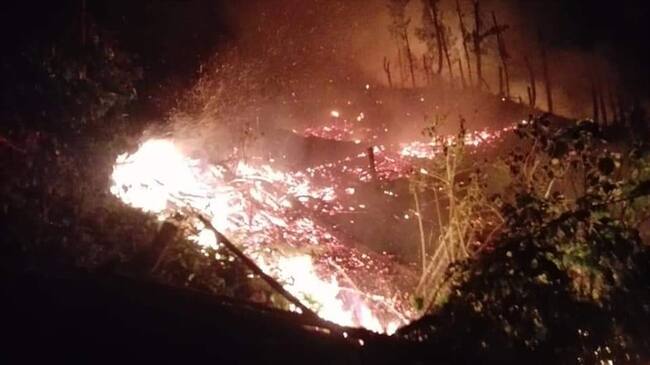 El incendio de cobertura vegetal está siendo atendido por 60 personas, entre trabajadores de la finca afectada y personal de bomberos del municipio. Foto: Adrián Rodríguez