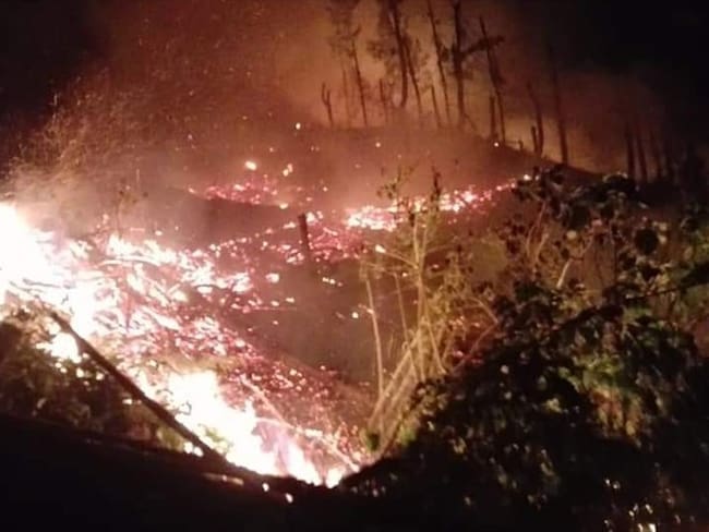 El incendio de cobertura vegetal está siendo atendido por 60 personas, entre trabajadores de la finca afectada y personal de bomberos del municipio. Foto: Adrián Rodríguez