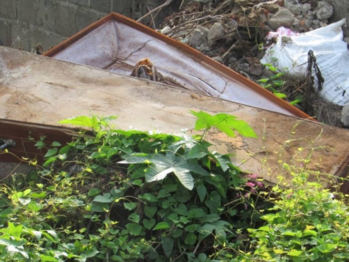 Falta de cupos en cementerio del Magdalena estaría originando saqueos de tumbas