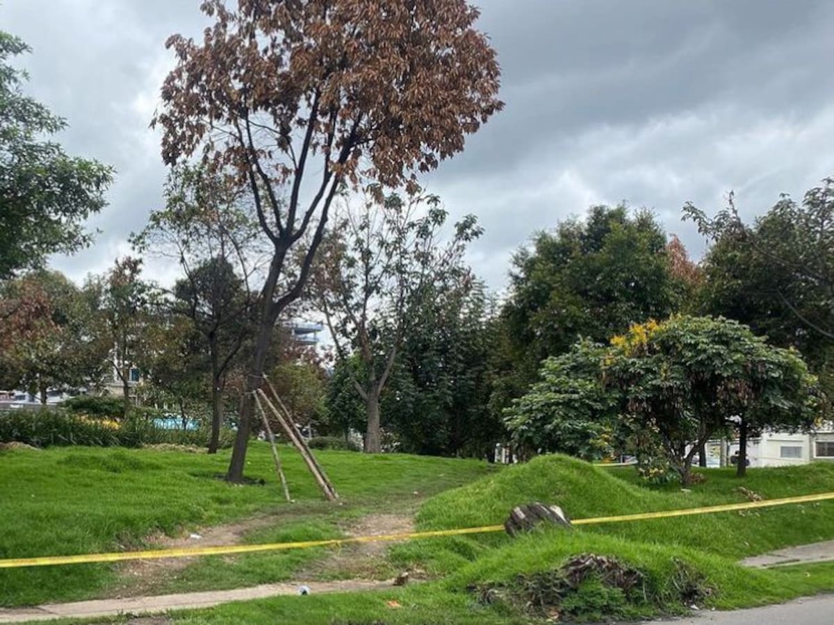 Me tiraron al piso y me arrastraron: mujer denuncia abuso de dos hombres en Bogotá