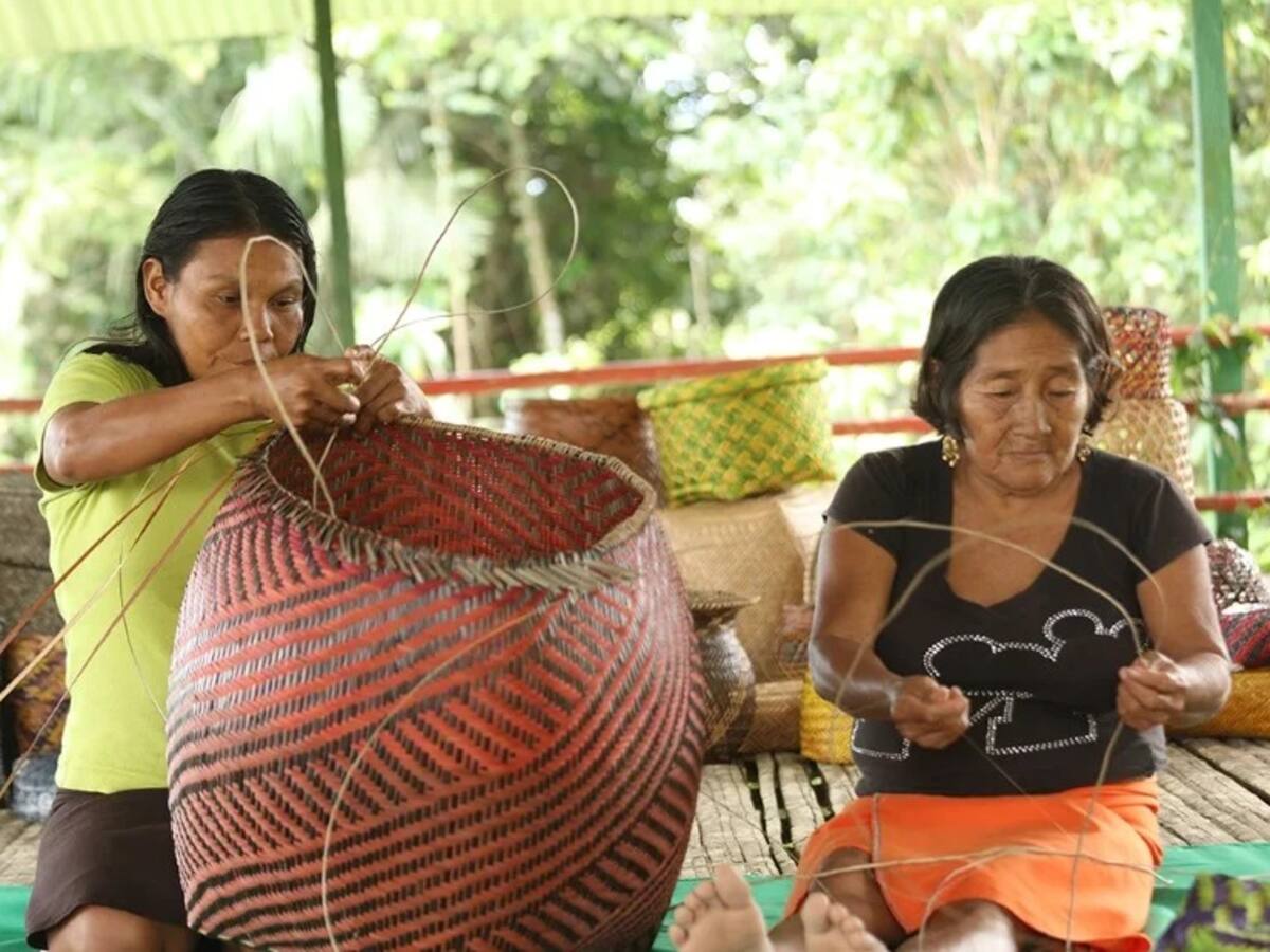 Prosperidad Social encontró irregularidades en la estrategia IRACA de la entidad