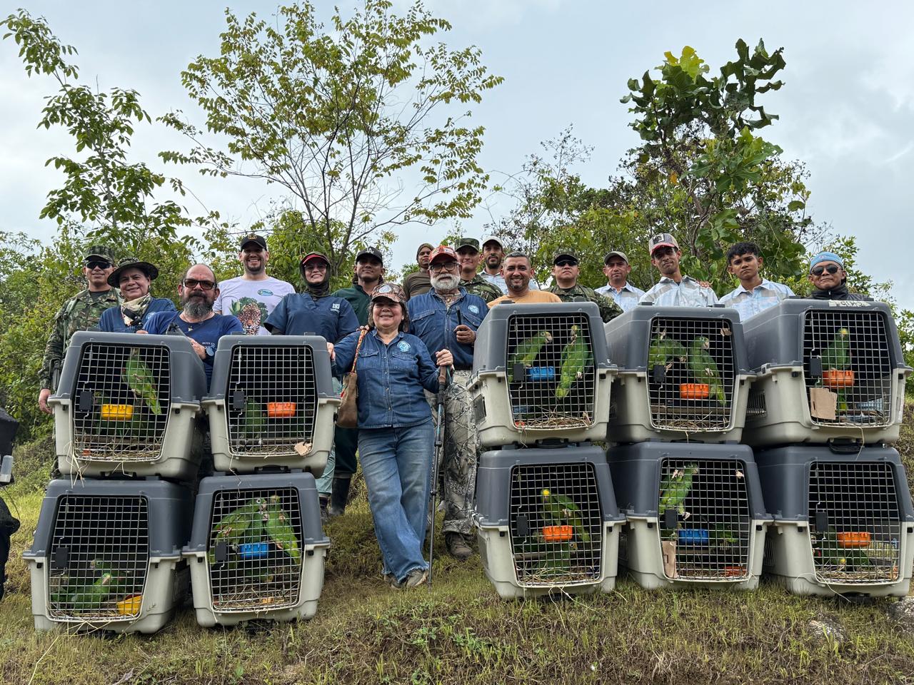 Liberadas más de 180 aves silvestres en reservas del Magdalena rescatadas en Bogotá 