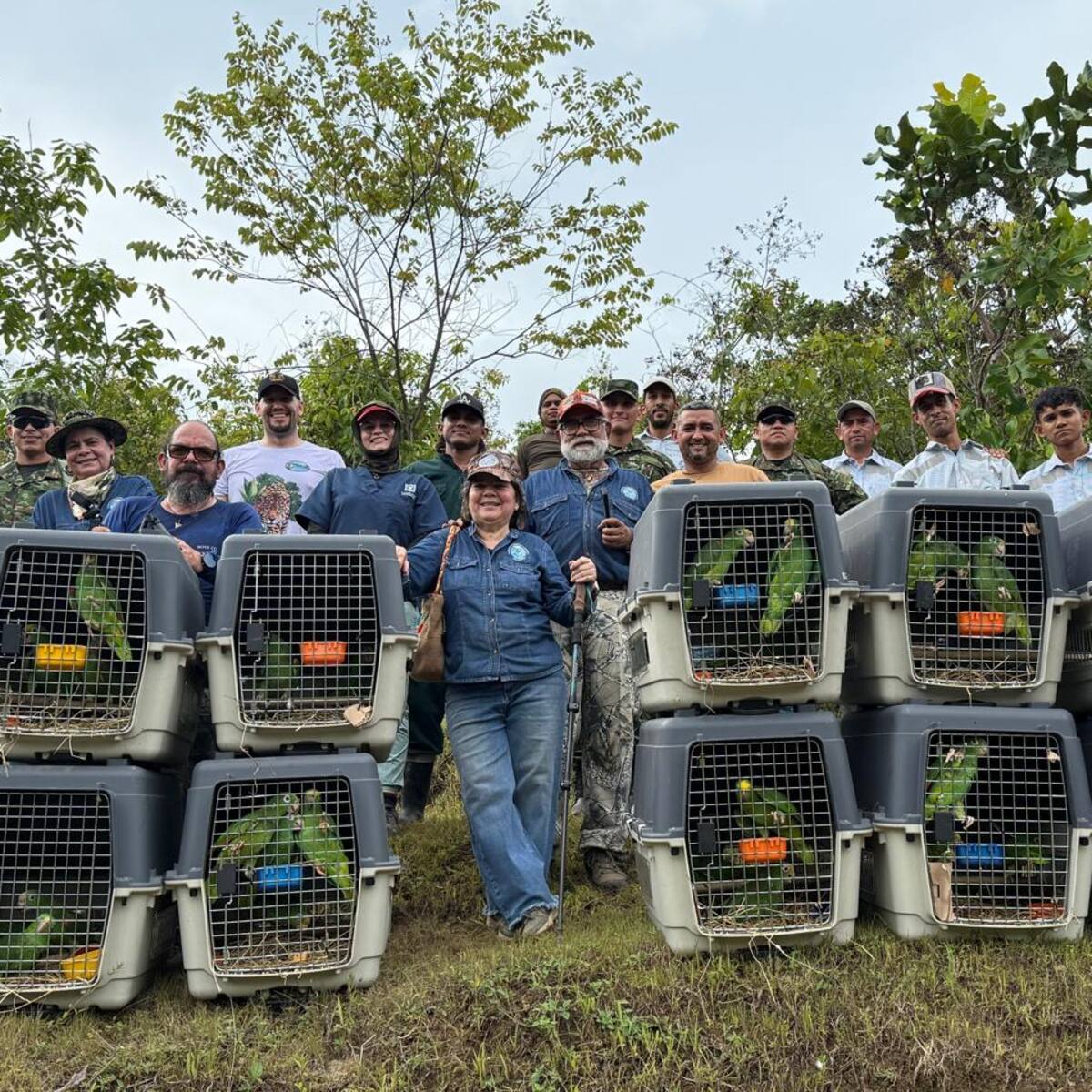 Liberaron a más de 180 aves silvestres en reservas del Magdalena: habían sido rescatadas de Bogotá