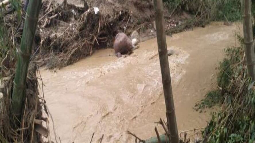Continuan cuatro personas desaparecidas por avalancha en Piedecuesta. . Foto:La W.