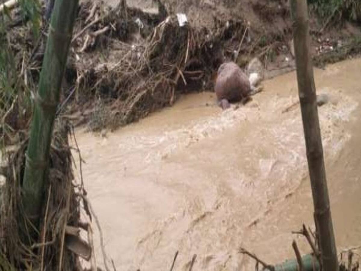 Suspenden labores de búsqueda de desaparecidos en Piedecuesta