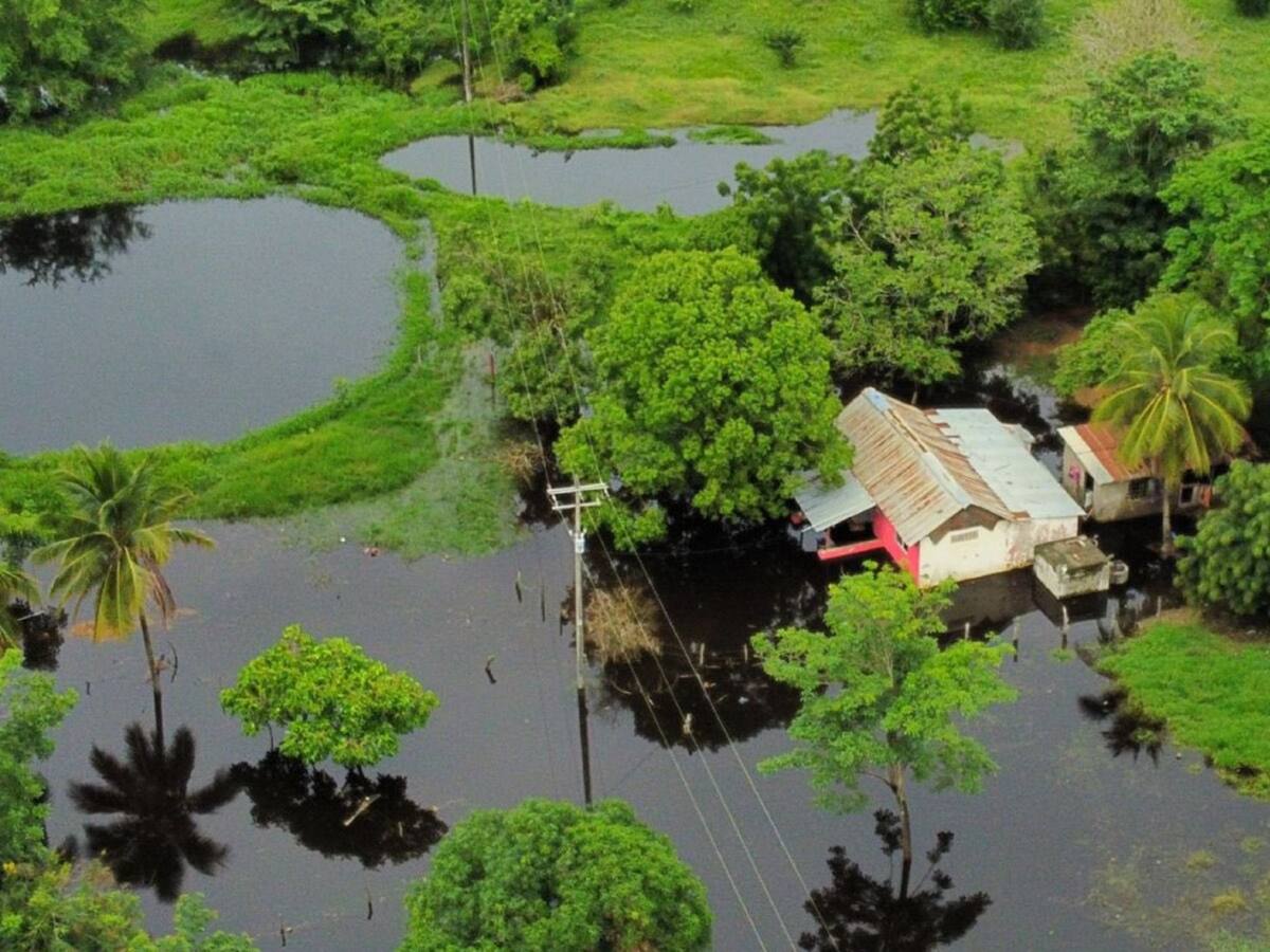 Defensoría del Pueblo alerta por vertimiento de líquido contaminante en Loma Grande